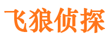 蓝田飞狼私家侦探公司